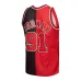 Dennis Rodman Chicago Bulls 1995/96 Split Swingman Jersey