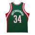 Maillot Giannis Antetokounmpo Bucks 13-14 - Mitchell & Ness HWC