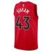 Pascal Siakam Toronto Raptors Unisex Swingman Jersey - Icon Edition - Red