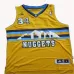 JaVale Lindy McGee, Denver Nuggets, Amarillo