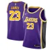 LeBron James, Los Angeles Lakers, 2018/19, Viola