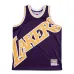 Los Angeles Lakers, Viola