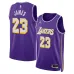 Los Angeles Lakers LeBron James Swingman Trikot - Personalisierung Edition - Lila