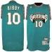 Mike Bibby. Memphis Grizzlies. Hardwood Classics. Grün