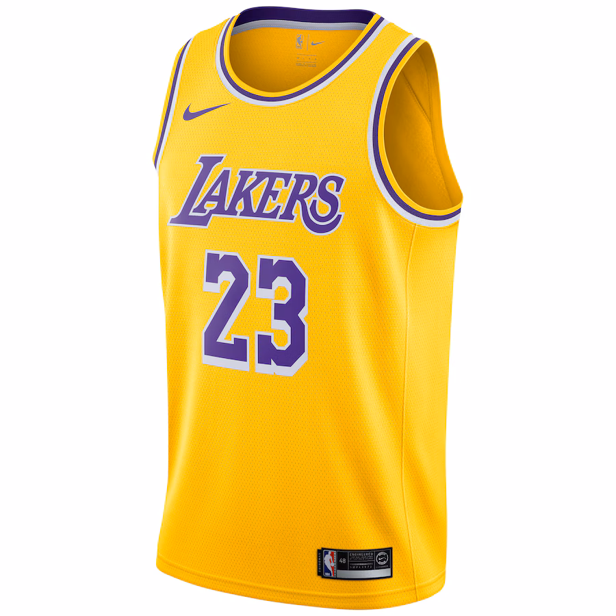 Camiseta LeBron James Los Angeles Lakers Icon Edition